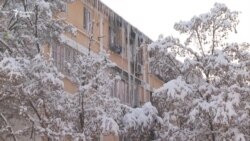 Зиёни сарморо ба сокинони Душанбе ҳисоб мекунанд