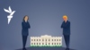 Как устроены выборы в США