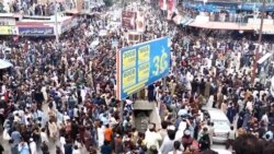 خوست کې زرګونه کسانو د کرکت نړيوال جام نيمه پايلوبې ته د افغانستان د وتلو جشن لمانځلی