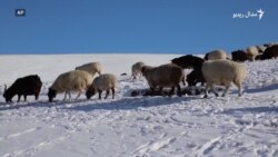 د منګولیا اوسېدونکي وايي هلته ورتلونکي سیلانیان چاپېریال ککړوي