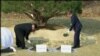 Președintele Moon Jae-in și liderul nord-corean Kim Jong Un platează simbolic un pom la Panmunjom, 27 aprilie 2018