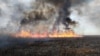 Пажар на Валыні ў памежнай зь Беларусьсю тэрыторыяй, 27-28 студзеня 2025. Афіцыйнае фота