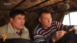 Аязды тоготпогон тоолуктар
