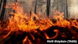 Про це вранці 31 березня повідомив глава адміністрації Нижньогірського району Антон Кравець, фото ілюстративне 