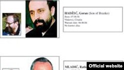 Preostali haški begunci Goran Hadžić i Ratko Mladić