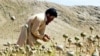 Pakistan Makes Major Drugs Haul