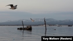 A sunken vessel is seen near the Island of Kunashir, one of four islands known as the Kuriles in Russia and the Northern Territories in Japan. (file photo)