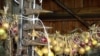 Breaking The Impasse On Russia's WTO Bid