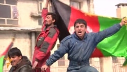 Afghans Celebrate First Victory In Cricket World Cup