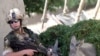 Two NATO Soldiers Killed In Afghan Blast