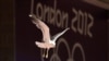 Airplane Crew Confiscates Olympic Athlete's Gun