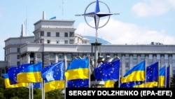 Міністерство закордонних справ України заявило 3 грудня, що Київ не погоджується на жодні альтернативи, сурогати чи замінники повноправного членства України в НАТО