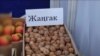 Жабыркаган жаңгак токой