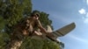 Ukraine grab drone