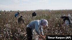 Recent complaints from hundreds of Uzbeks around the country indicate that forced labor is continuing in Uzbekistan’s cotton sector. (file photo)