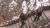 Authorities in the Armenian city of Gyumri closed off streets and searched vehicles as they launched a manhunt for a Russian soldier suspected of killing six people. The victims -- a couple, their son and daughter-in-law, a 2-year-old granddaughter, and an unmarried daughter -- were found shot dead in their house on January 12. Russia has about 3,000 troops at military base in Gyumri, one of Russia's largest military installations abroad. (RFE/RL's Armenian Service)